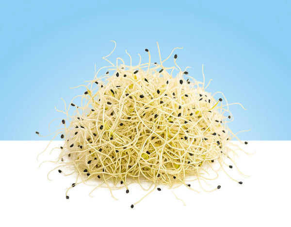 Onion sprouts, 60g