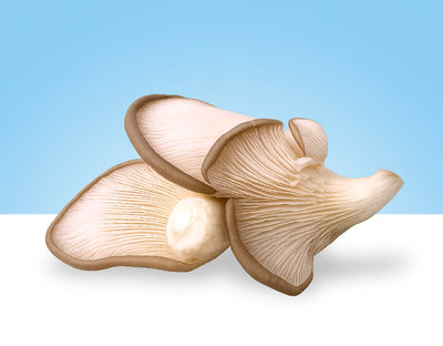 Gyrgolas Mushrooms (Oyster Mushroom), 300gr