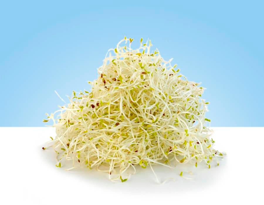 Germinado de alfalfa, 150gr