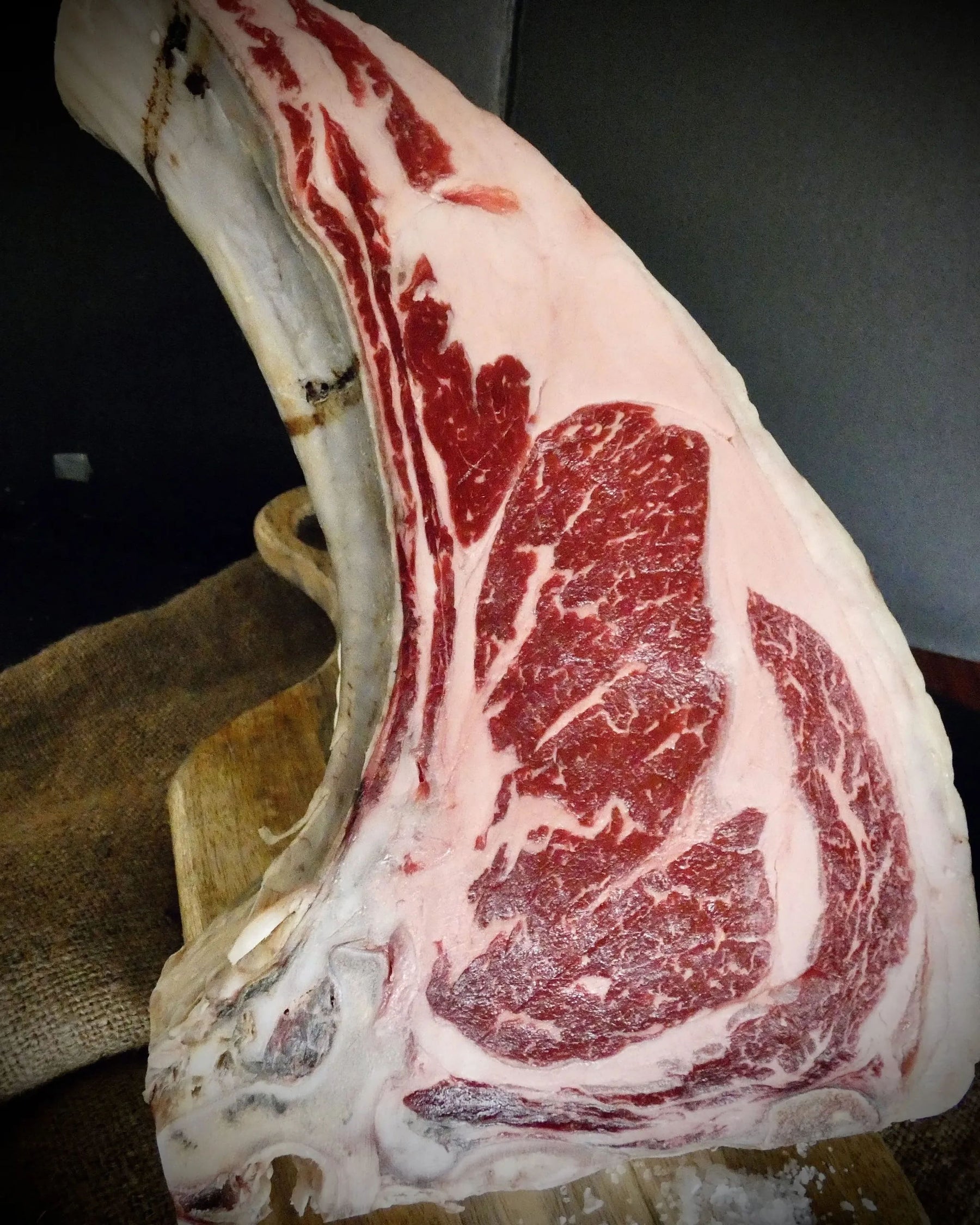 OX T-BONE OFFER