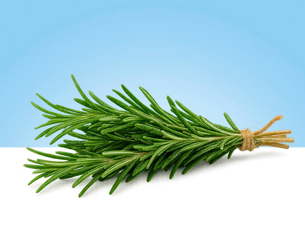 Rosemary, bunch