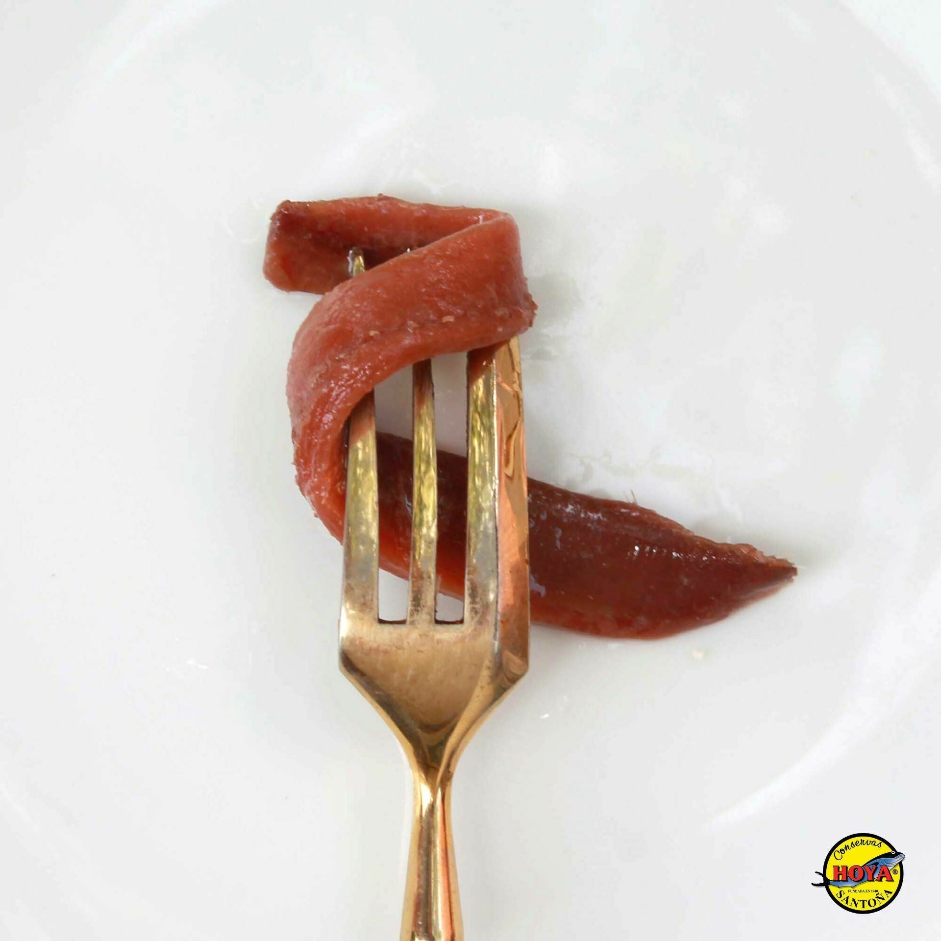 Cantabrian anchovies in olive oil HOYA GOLD SERIES 49g 