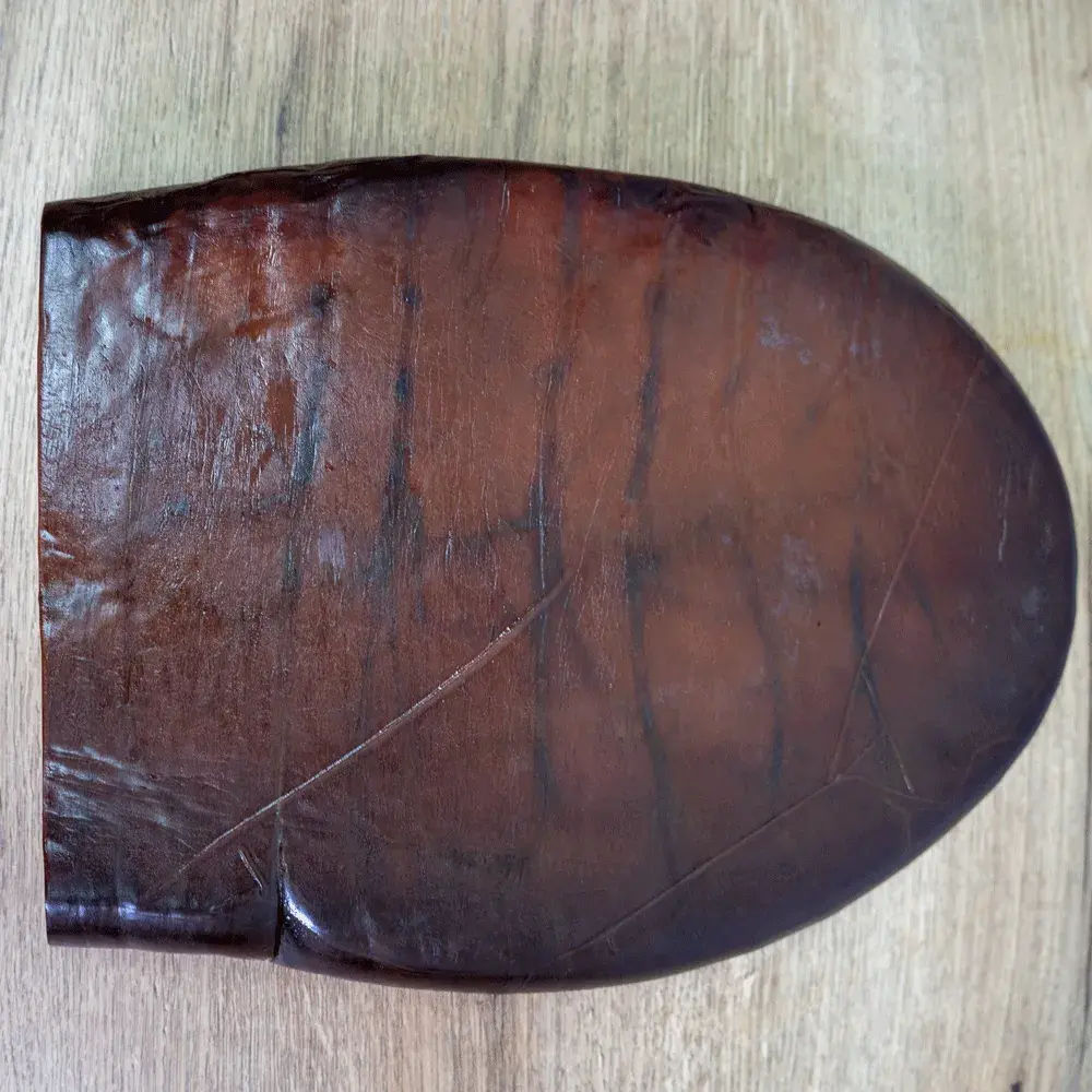 Almadraba tuna roe
