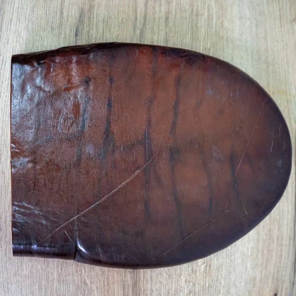 Almadraba tuna roe