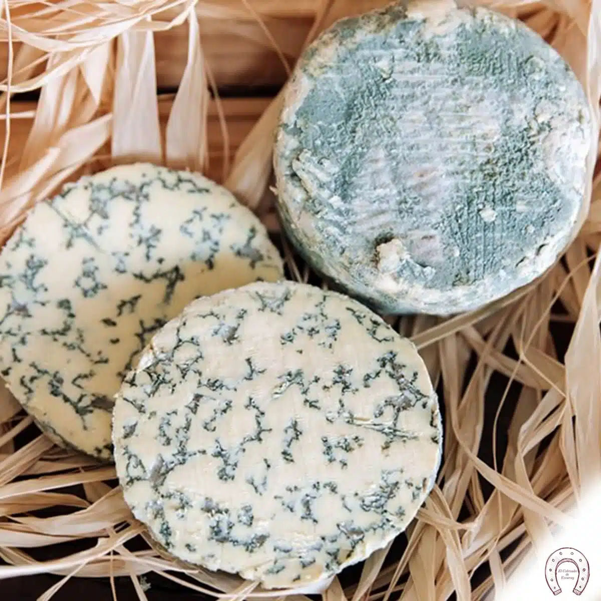 Queso Savel (mejor queso de España 2021) - entero 1,2 Kg