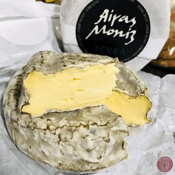 TERRA creamy cheese - 300g wedge