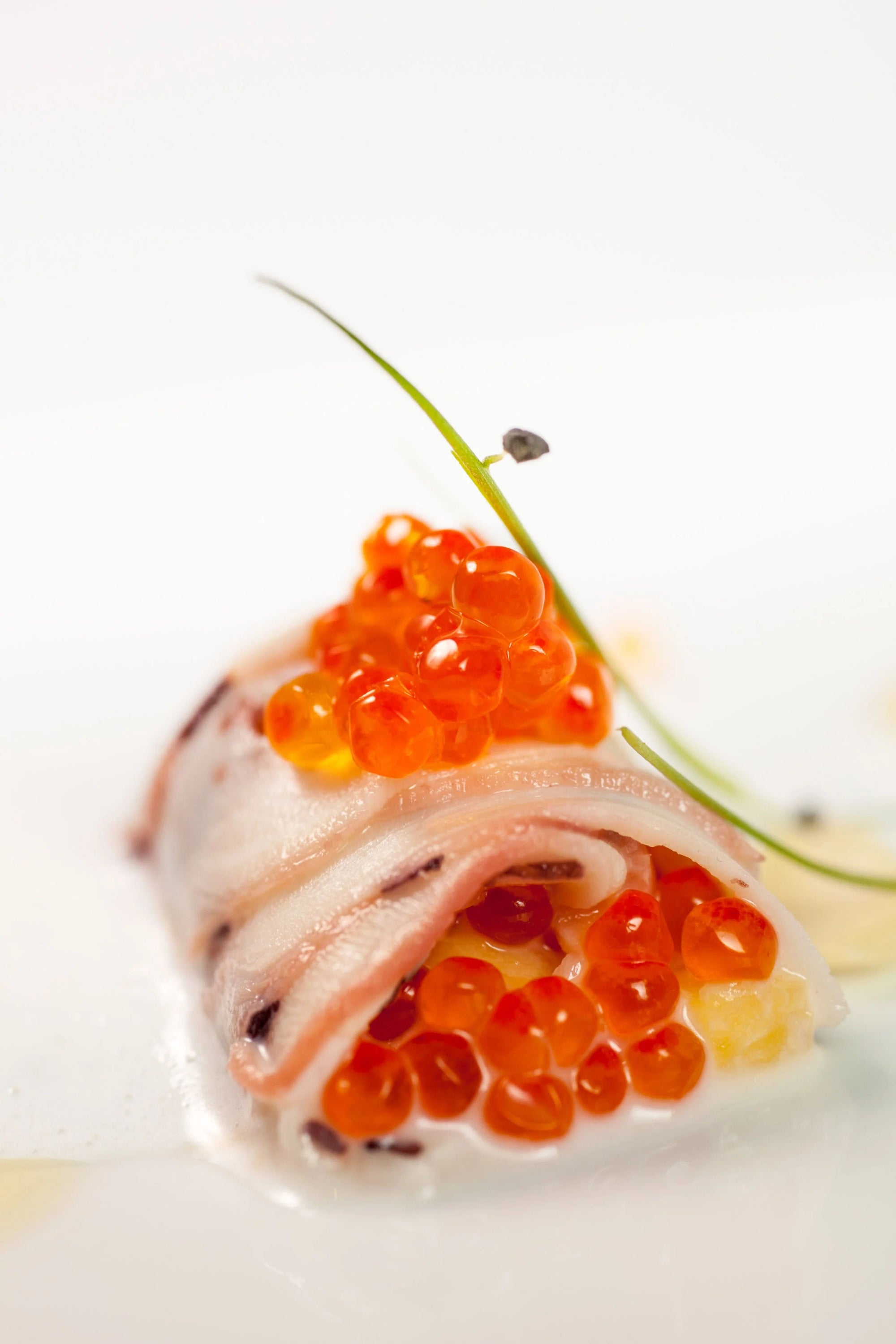 SPHERIKA, trout roe