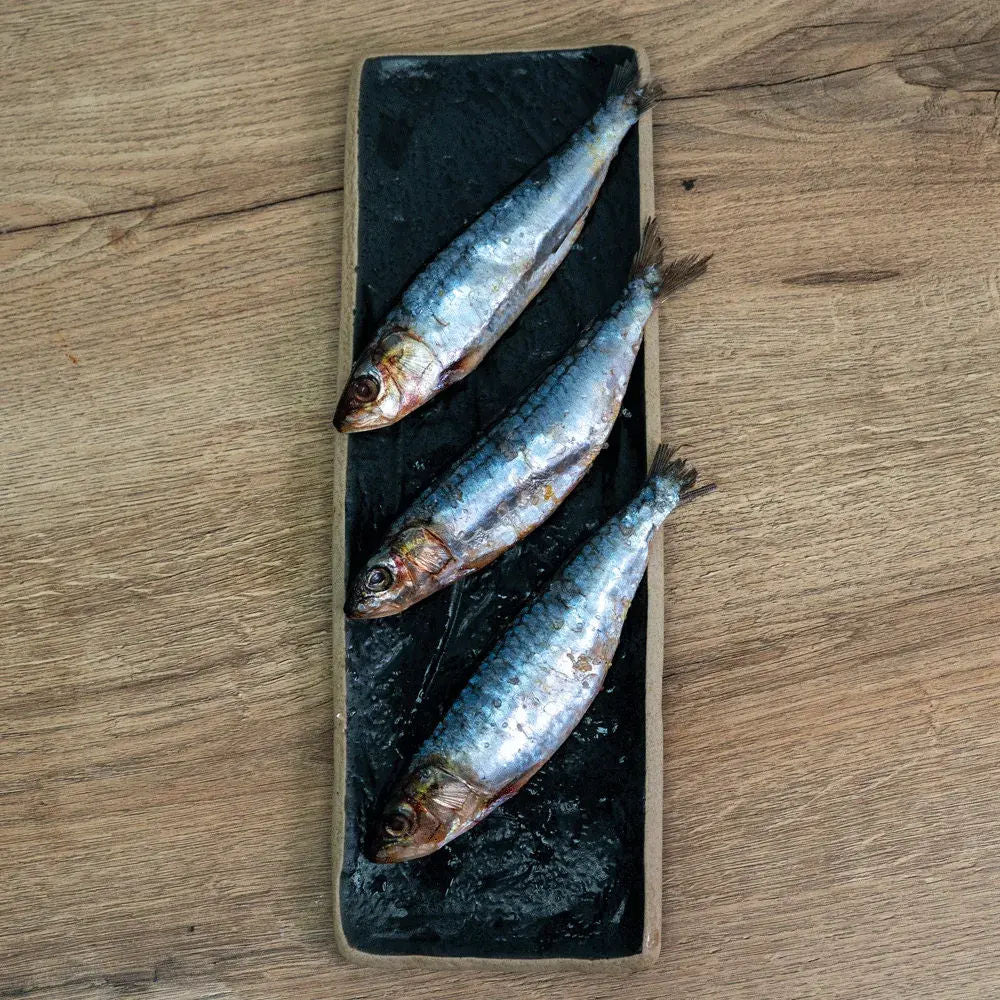 Sardines pack of 3