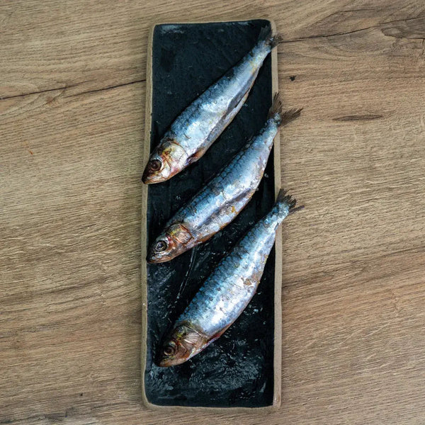 Sardines pack of 3