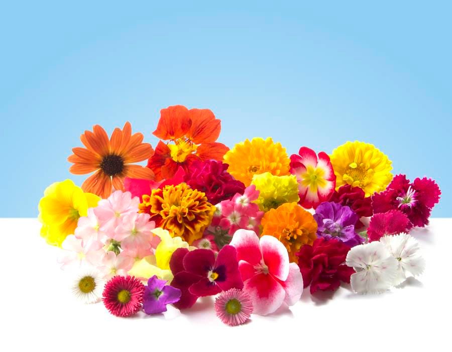 Mixed edible flowers, 50g tray