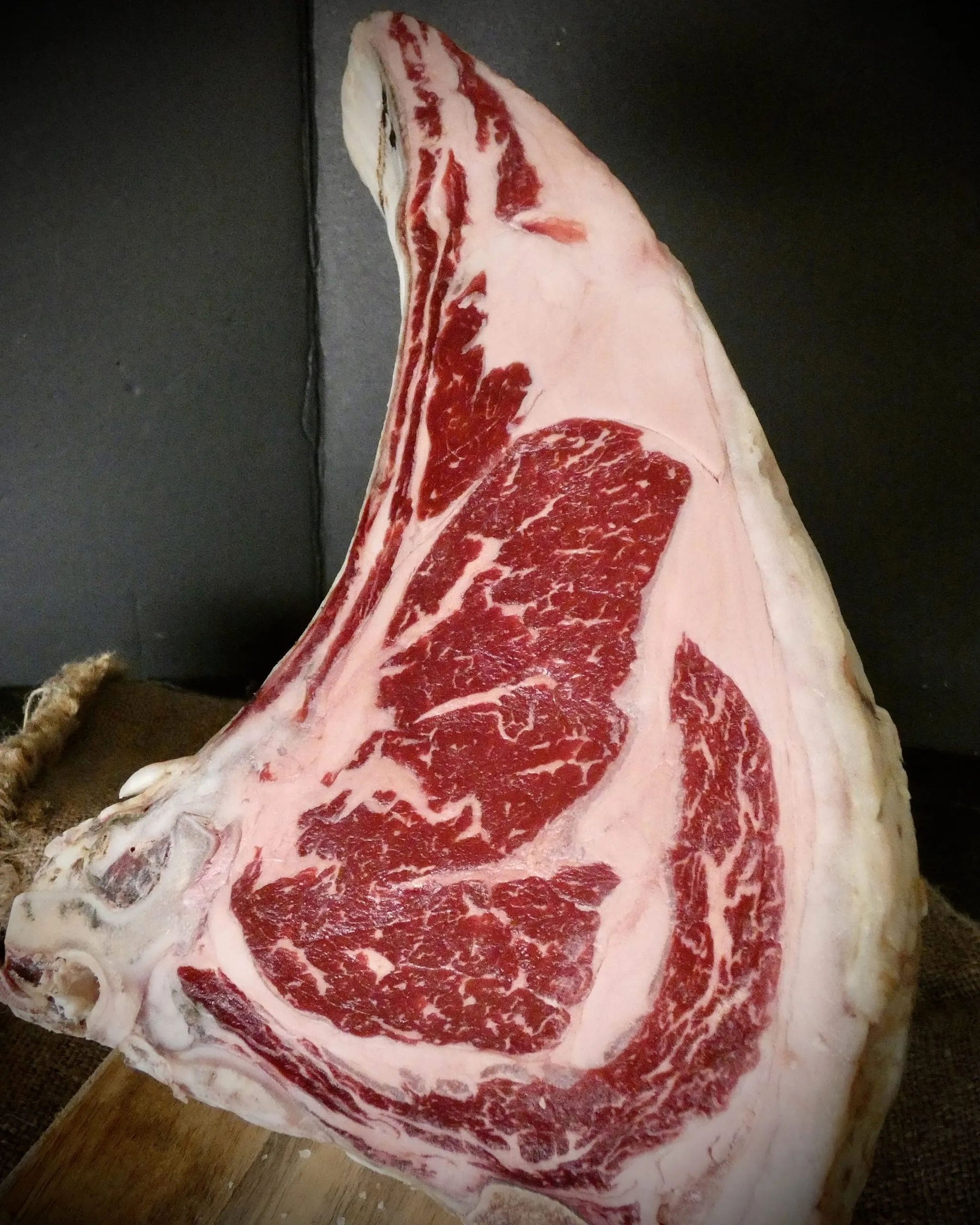OX T-BONE OFFER
