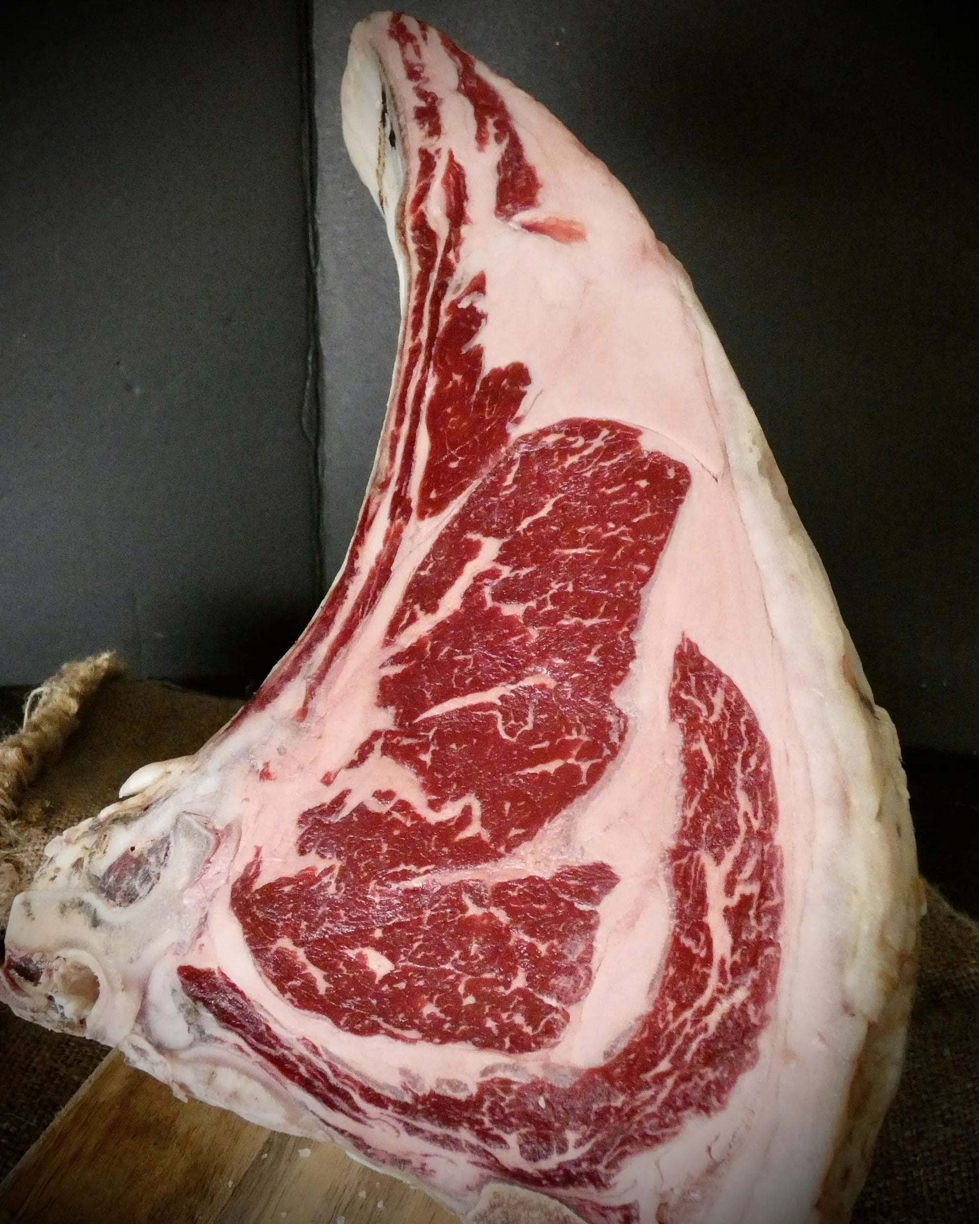 OX T-BONE OFFER