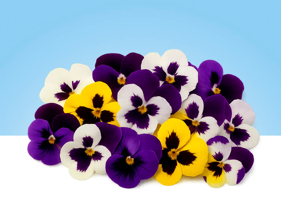 Flores comestibles, Pensamientos, bandeja 40gr