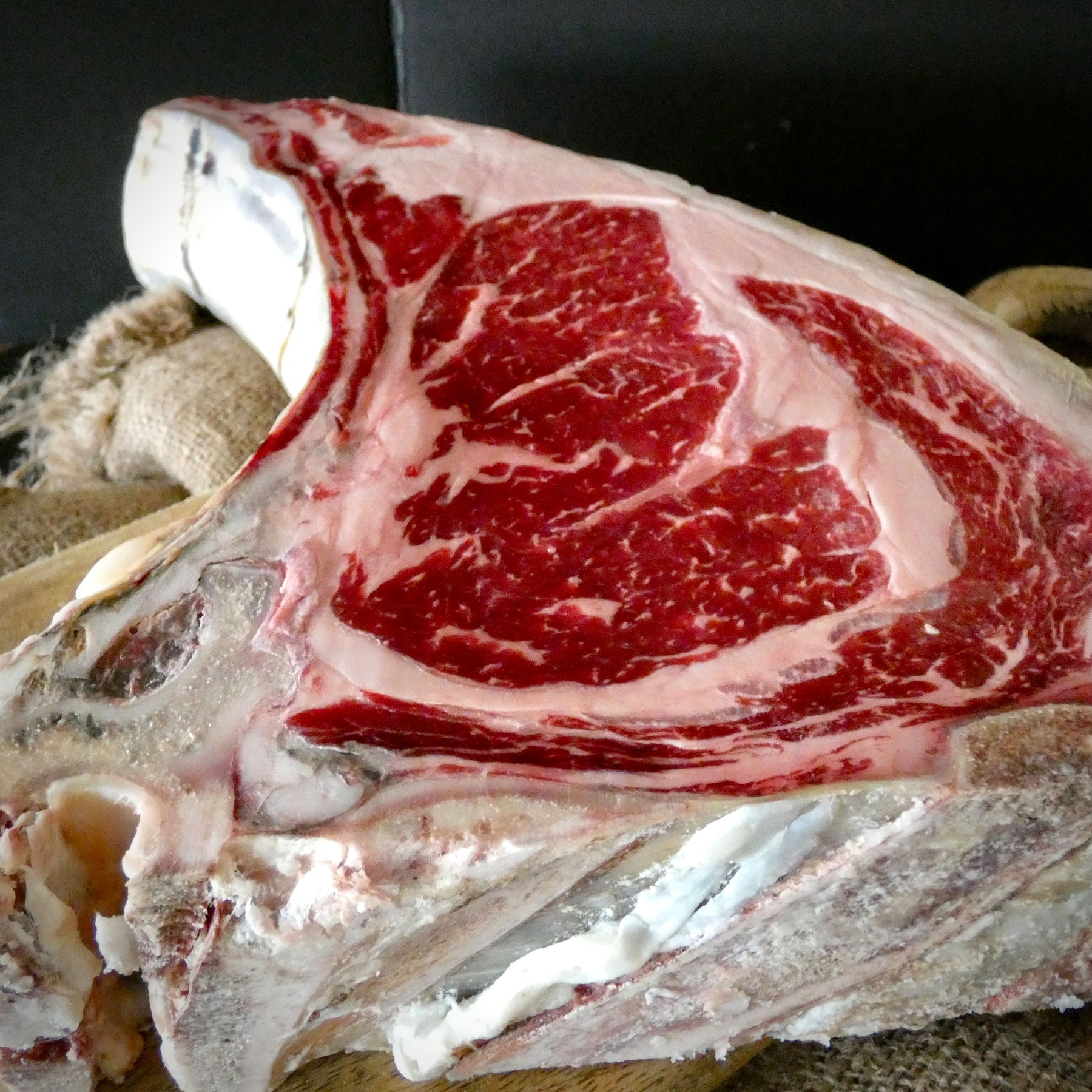 OX T-BONE OFFER