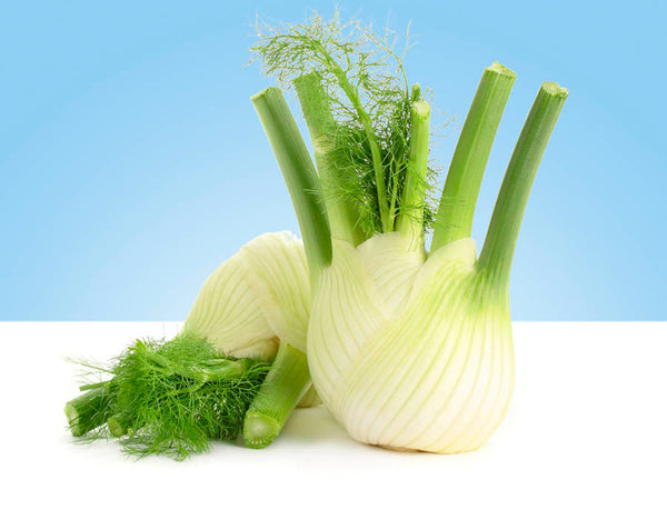 Fennel bulb, piece