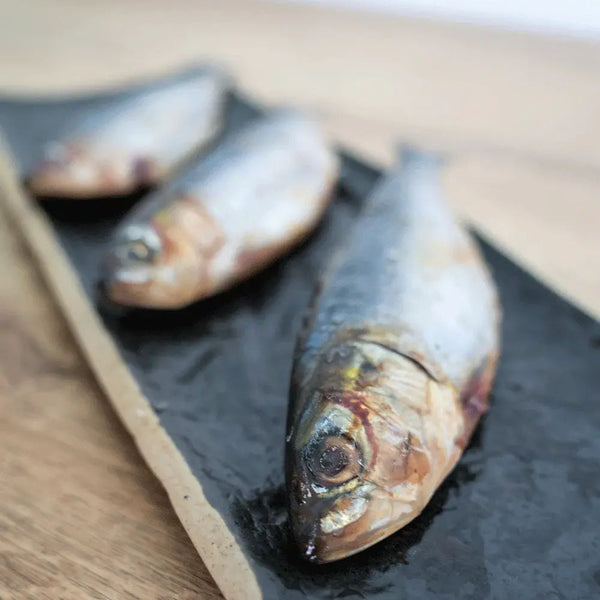 Sardines pack of 3